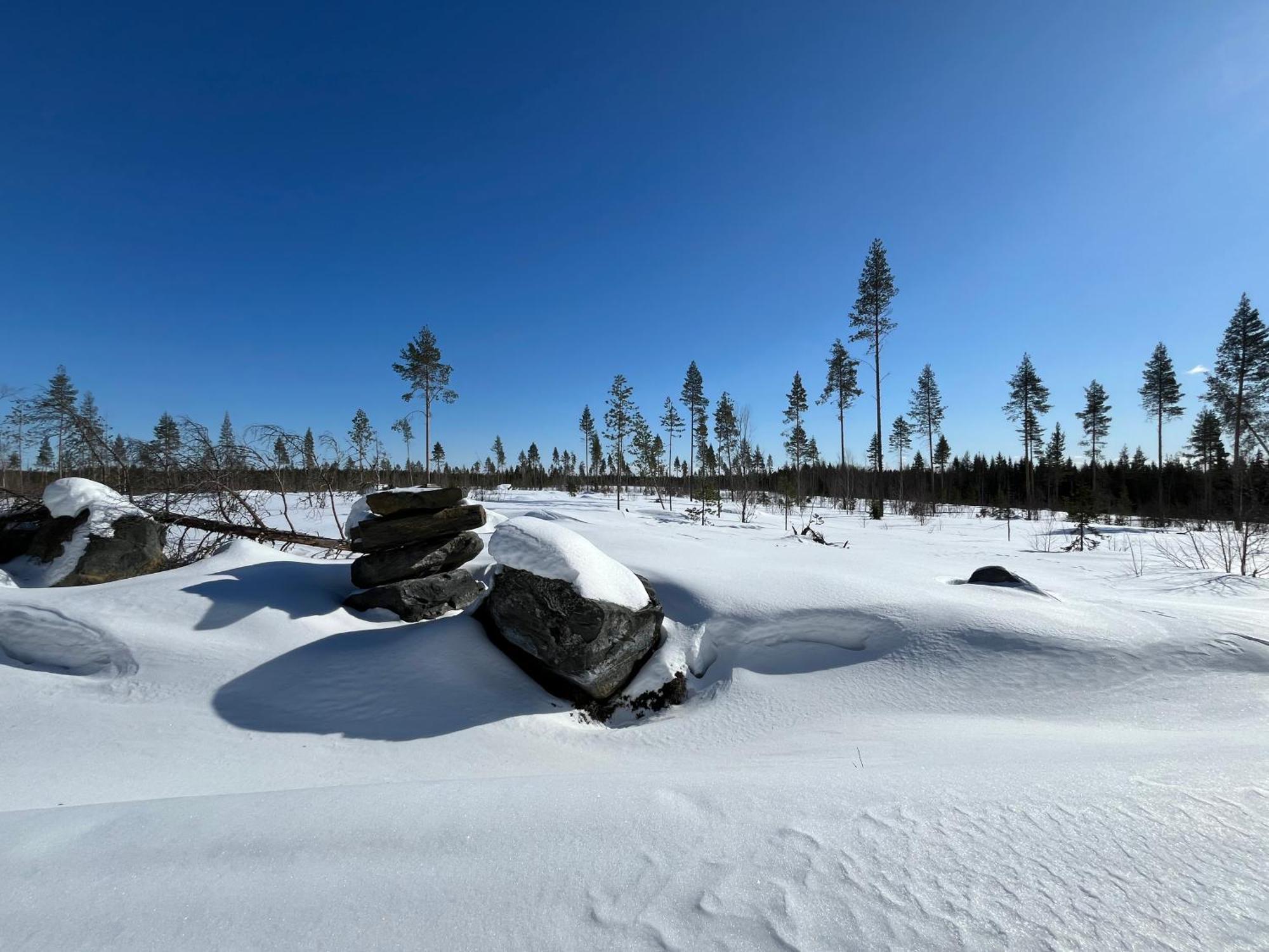 Log Cottages In 10 Min From Santa Claus Village-Sauna&Freeparking Rovaniemi Exterior foto