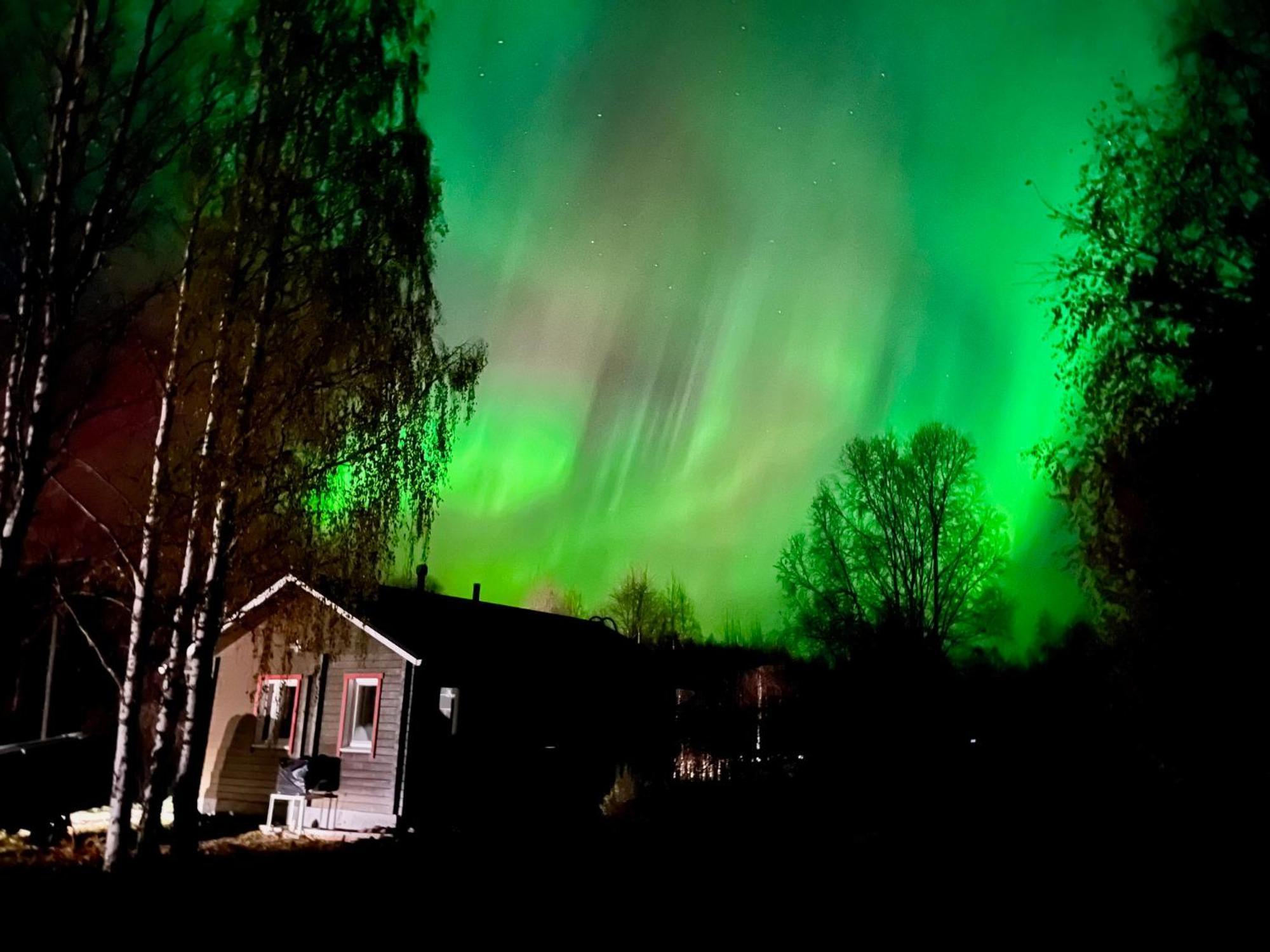 Log Cottages In 10 Min From Santa Claus Village-Sauna&Freeparking Rovaniemi Exterior foto